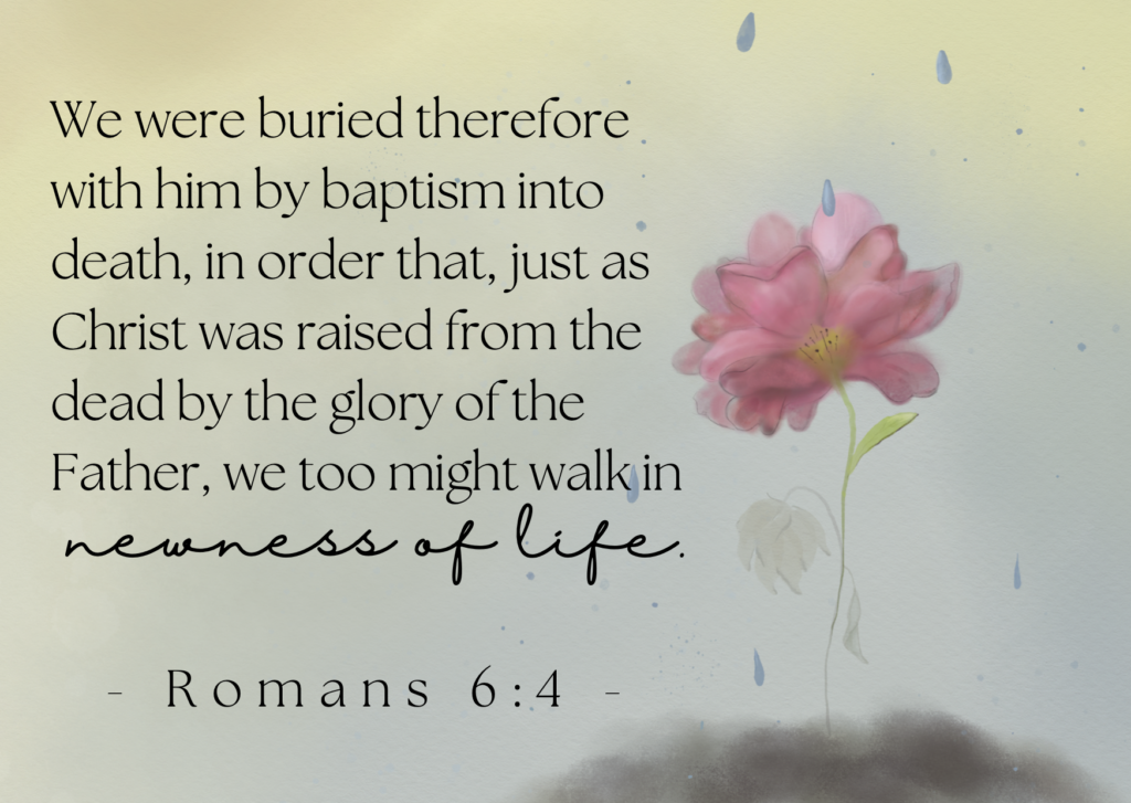 We were buried therefore with him by baptism into death, in order that, just as Christ was raised from the dead by the glory of the Father, we too might walk in newness of life. Romans 6:4