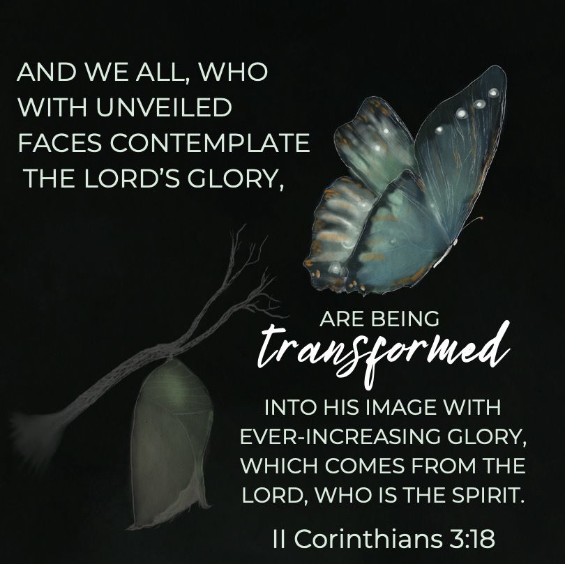 And we all, who with unveiled faces contemplate the Lord's glory, are being transformed into his image with ever-increasing glory, which comes from the Lord, who is the Spirit. II Corinthians 3:18