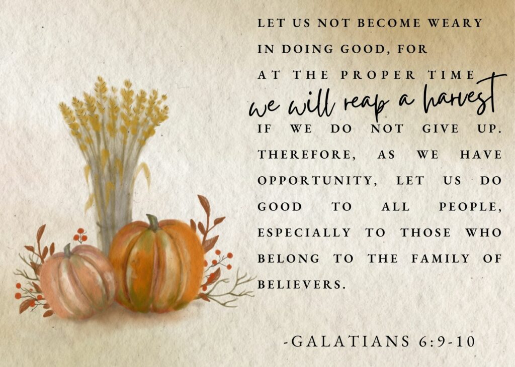 Let us not become weary in doing good, for at the proper time we will reap a harvest if we do not  give up. Therefore, as we have opportunity, let us do good to all people, especially to those who  belong to the family of believers. Galatians 6:9-10
