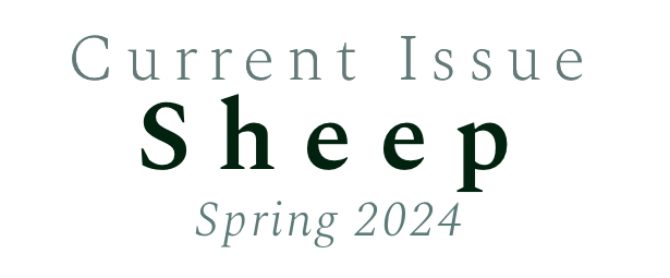 Current Issue - Sheep - Spring 2024